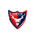 Onyx Security Agency